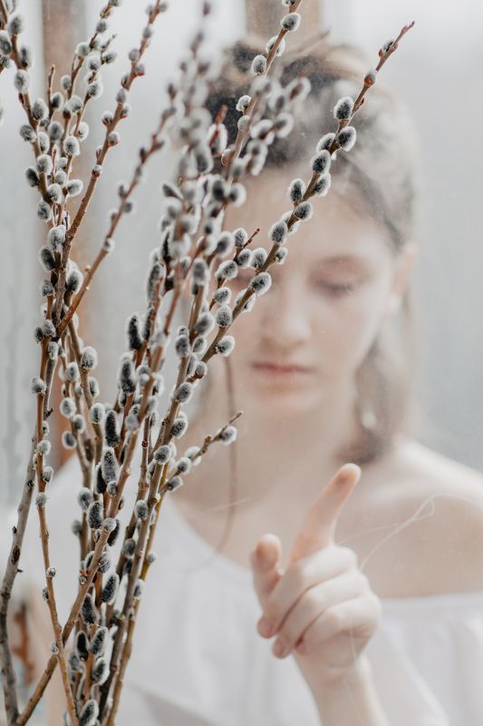 вербное воскресенье Вербное воскресенье фото превью