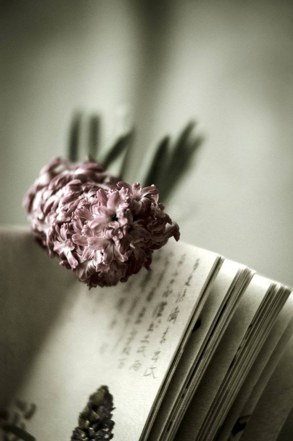 , Альбина Хакимова