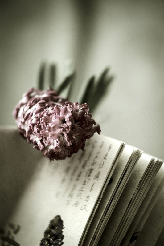 В ожидании встречи... фото превью