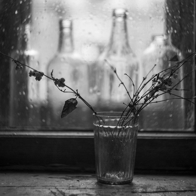 Как у Судека фото превью