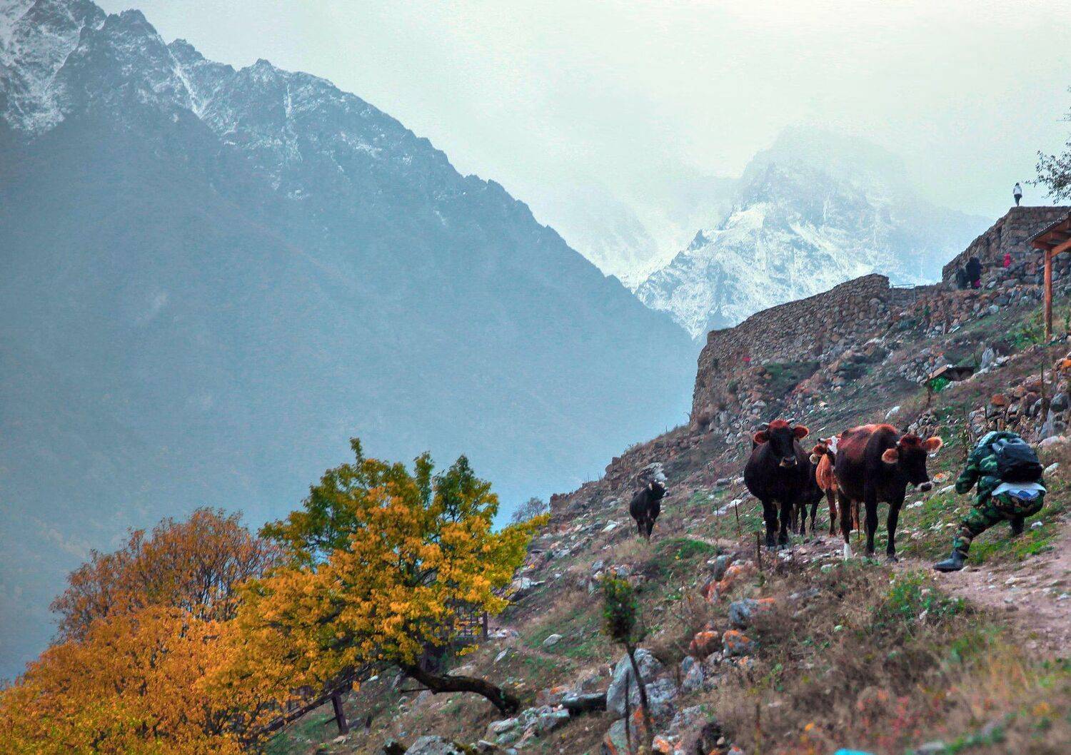 горы,осень,природа., Marat Magov