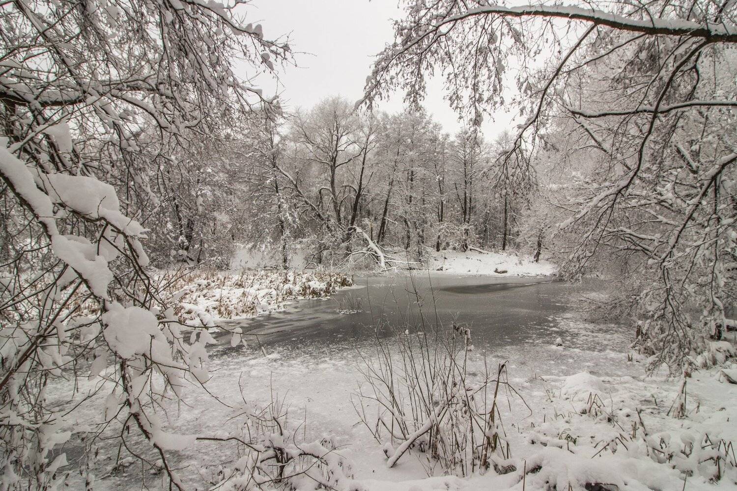зима, лес, река, озеро, вода, усмань, снег, Руслан Востриков