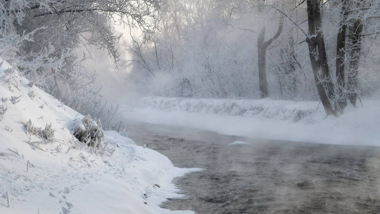 , Ольга Челдыкова