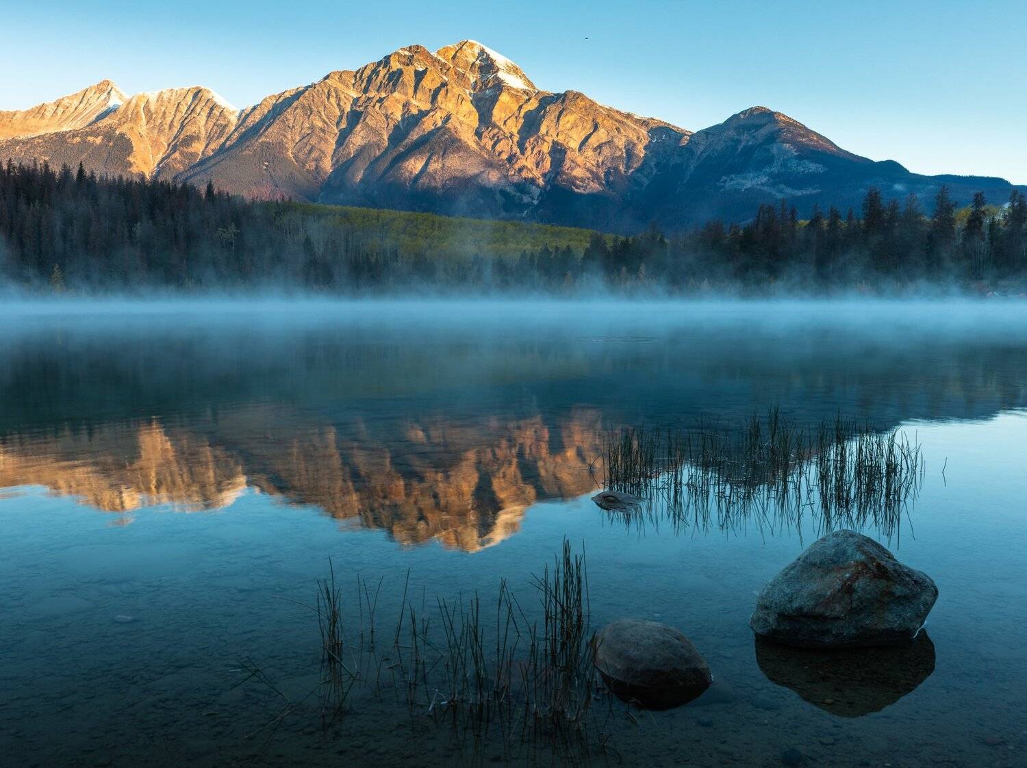 , Александр Лозицкий