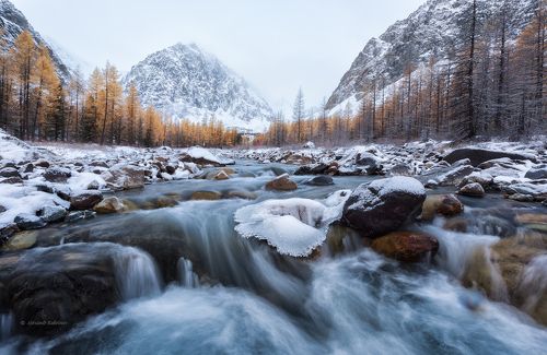 Пасмурное утро в ущелье Актру.