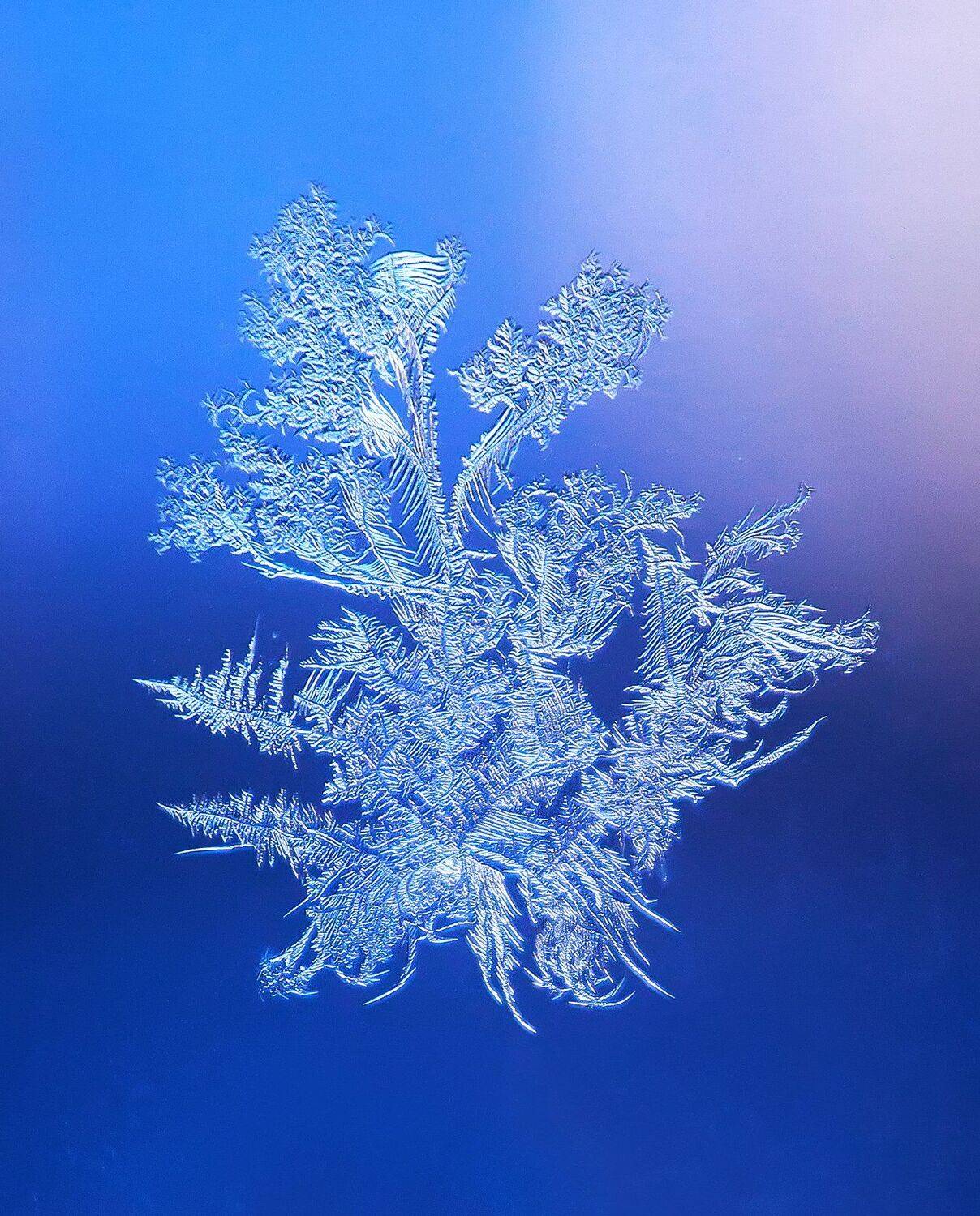 , Павел Сагайдак