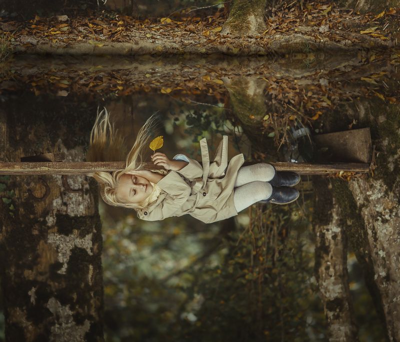 Отражение фото превью