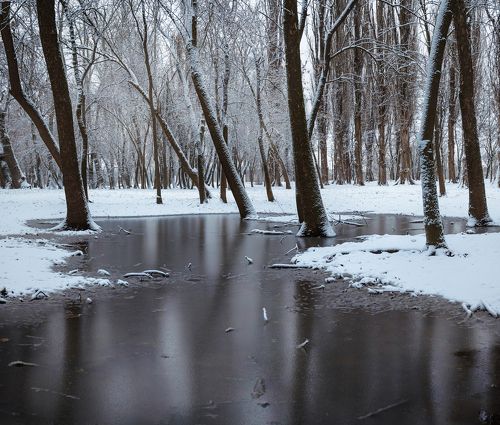 На полотнах Кубанской зимы.