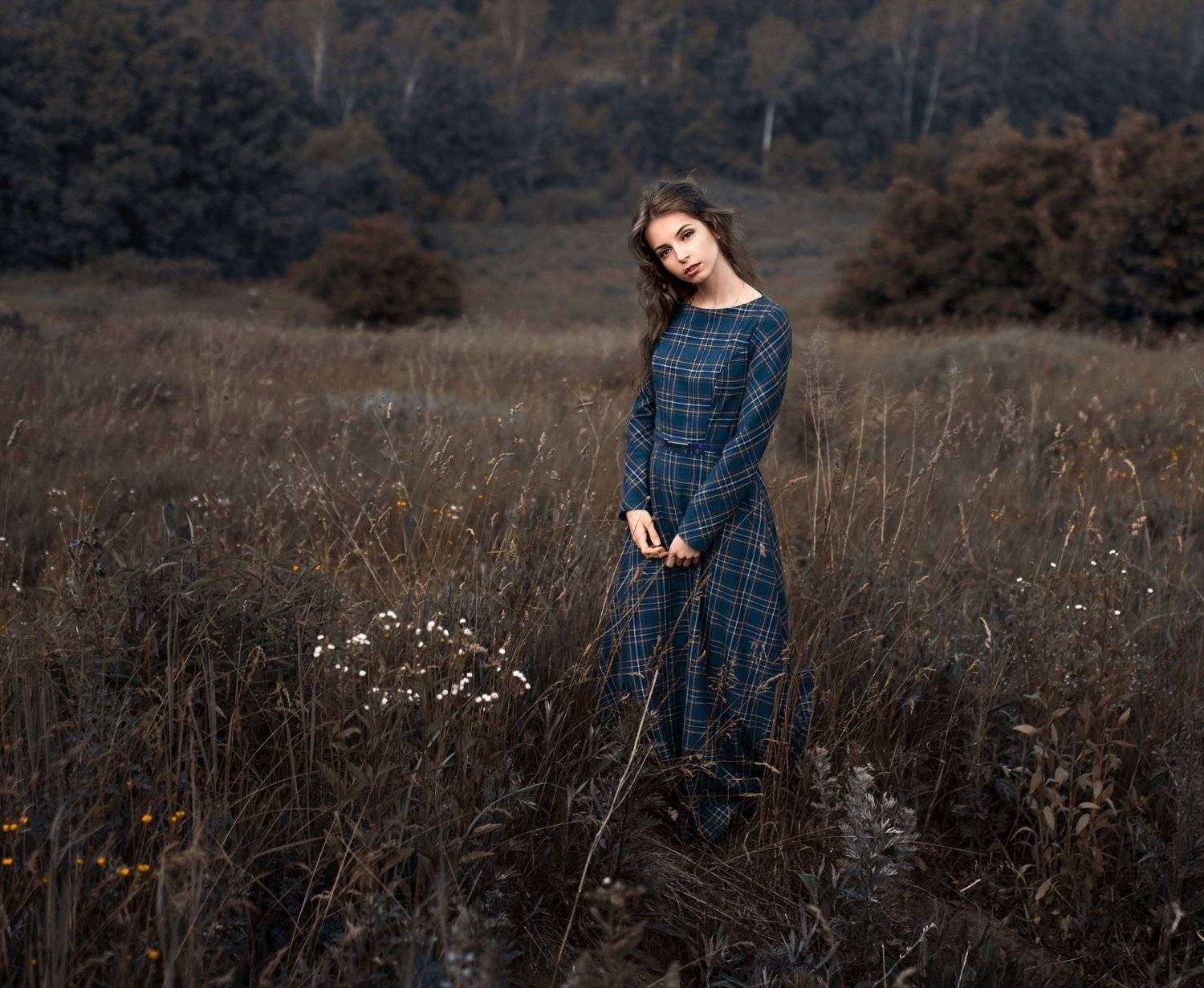 , Альберт Лесной