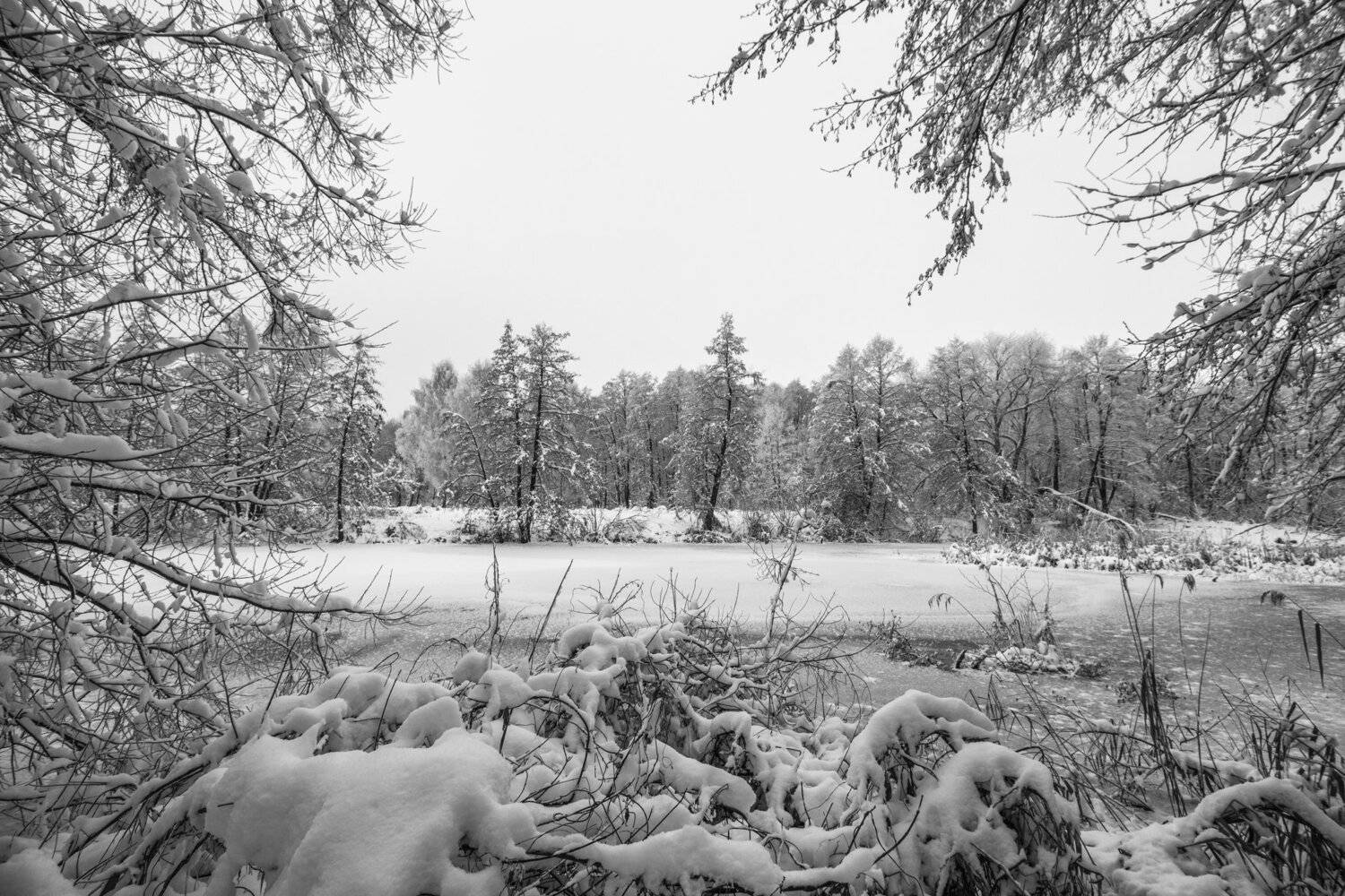 зима, лес, река, озеро, вода, усмань, снег, Руслан Востриков