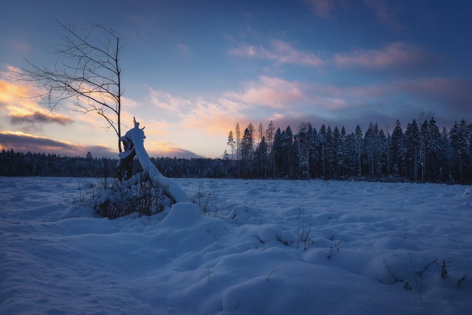 , Oleg Feofanov