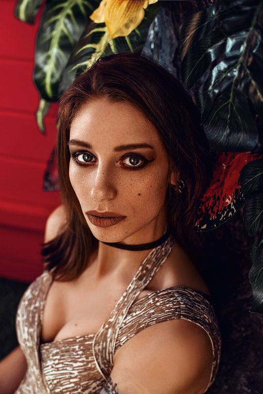 Tropicos фото превью