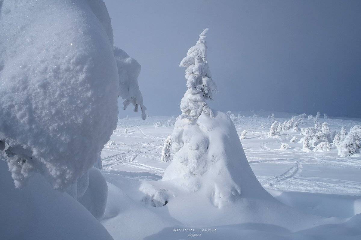 карпаты., украина., зима., пейзаж., снег., карпатский., гора., красивый., небо., природа., дерево., холод., мороз., путешествия., белый., сезон., ель., лес., фон., снежный., горы., зимний., утро., отдых., солнце., лед., изморозь., иней., сцена., синий., с, Леонид Морозов
