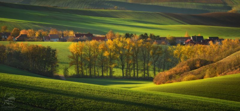 пейзаж, природа, поле, моравия, чехия \