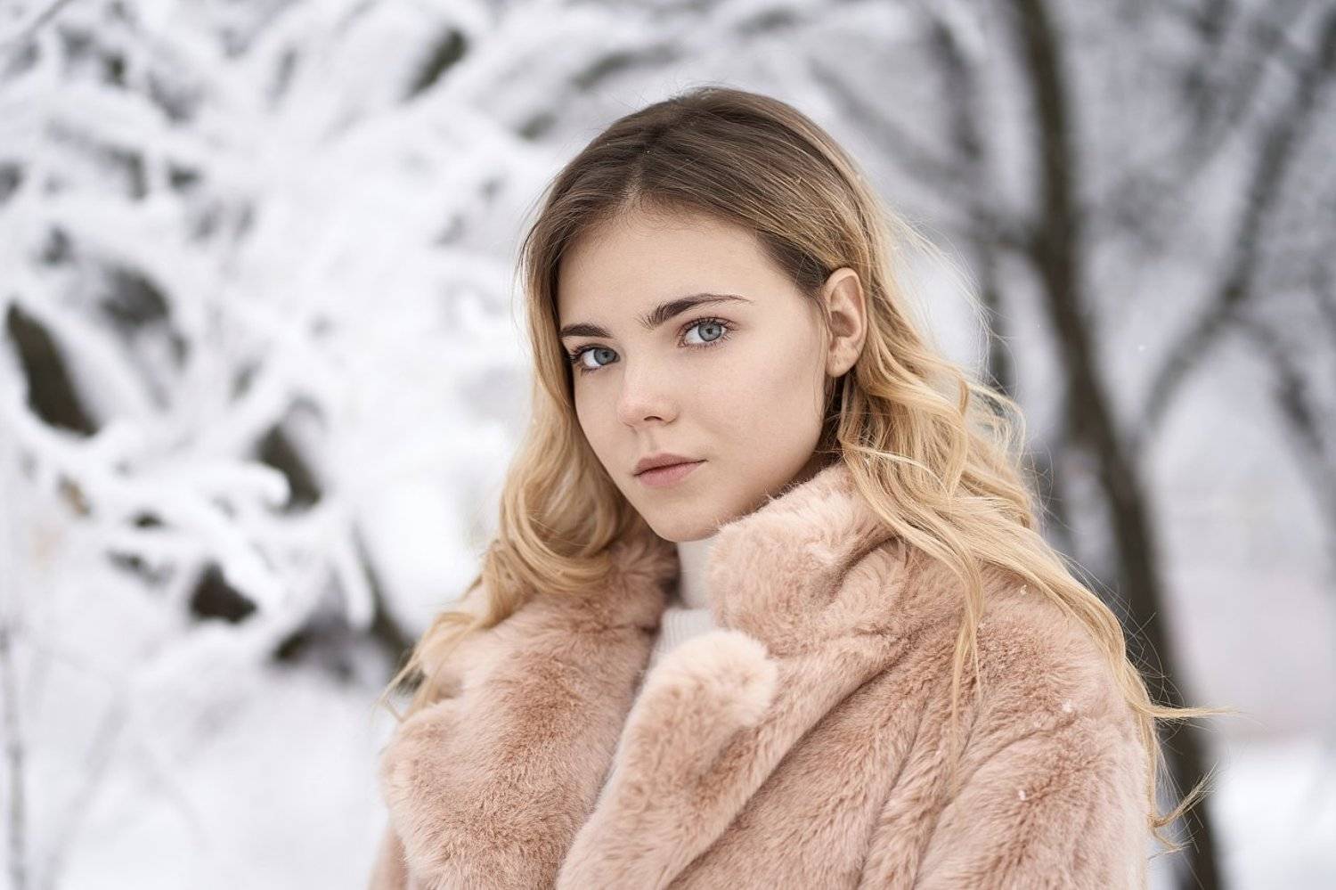 , Веселов Александр