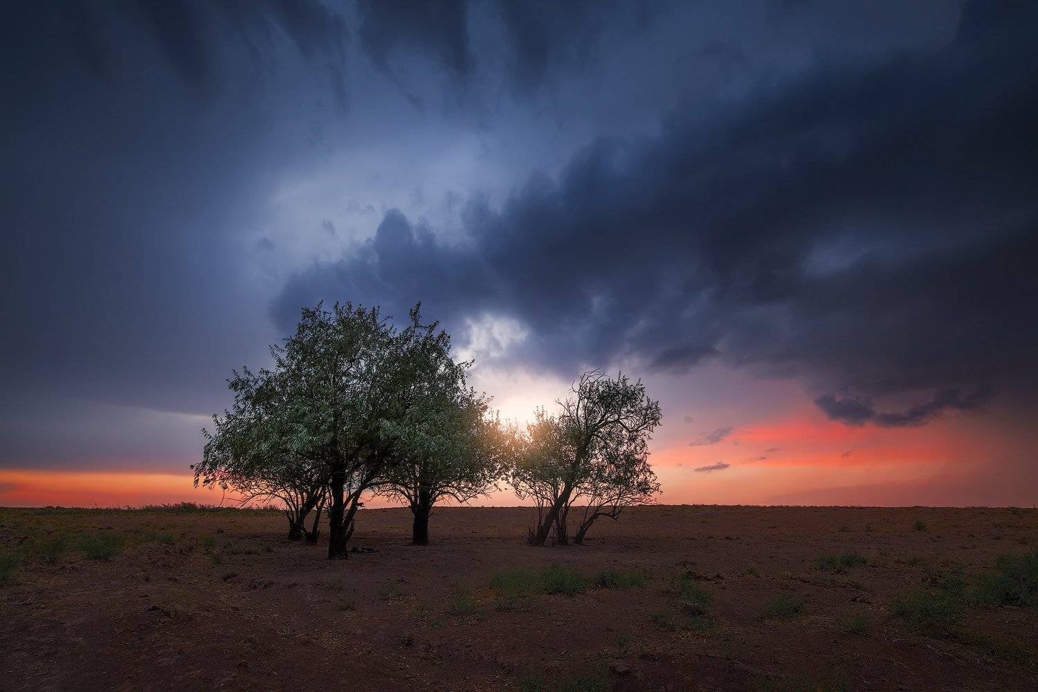 landscape, Pedram Mirsadeghi
