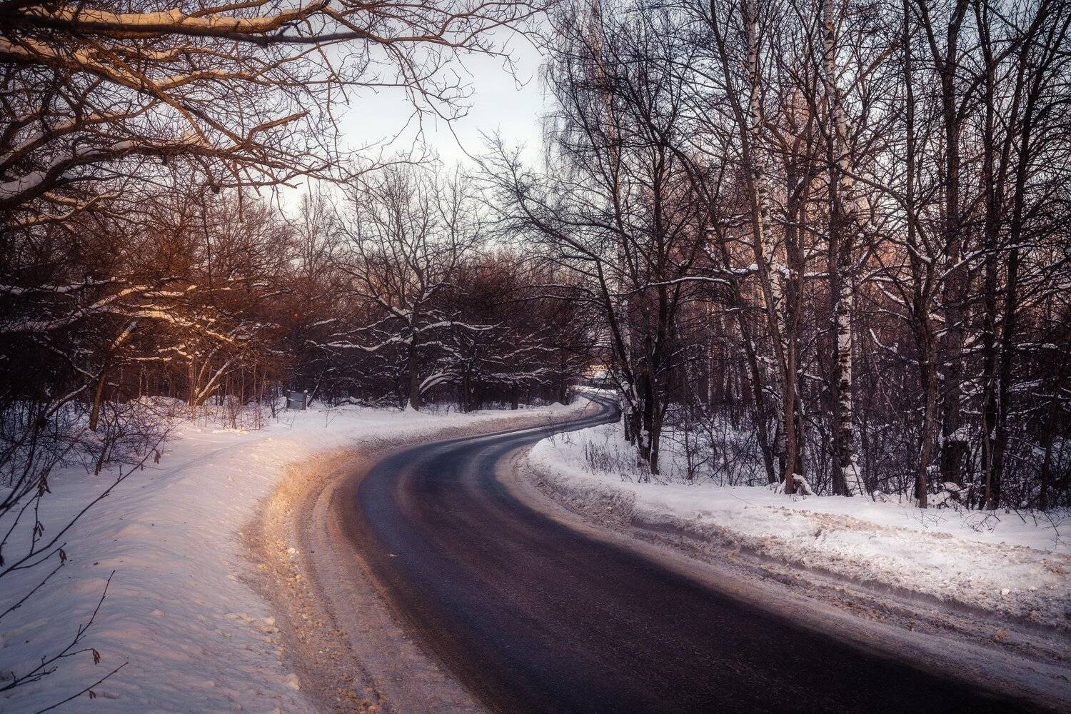 , Дмитрий Иванов