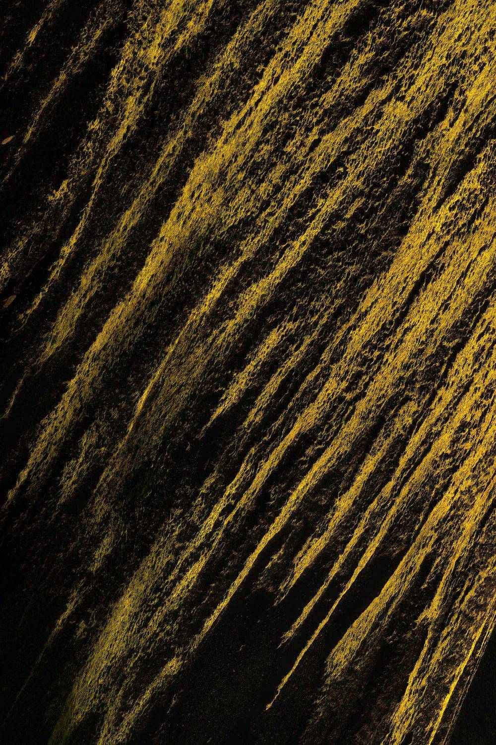 , Бахышев Сафар