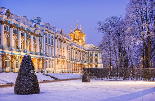 Сиреневая ночь
