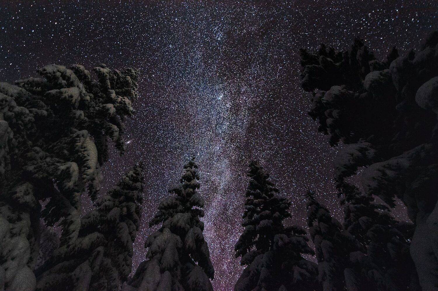 milkyway, landscape, night, sky, tree, Csomai David