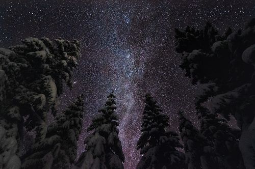 Night's Watch
