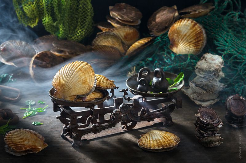 sea, japan, scallop, shellfish, гребешок, потерянное детство, россия, море SCALLOP фото превью