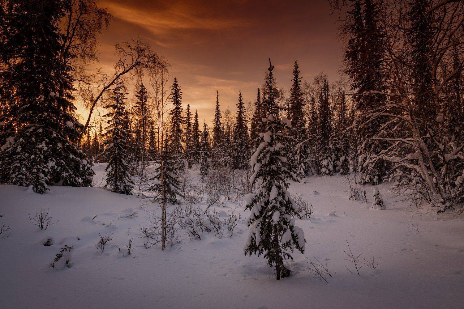 , Евгений Кужилев