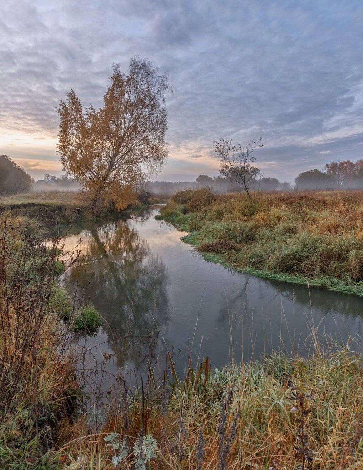 , Николай Андреев