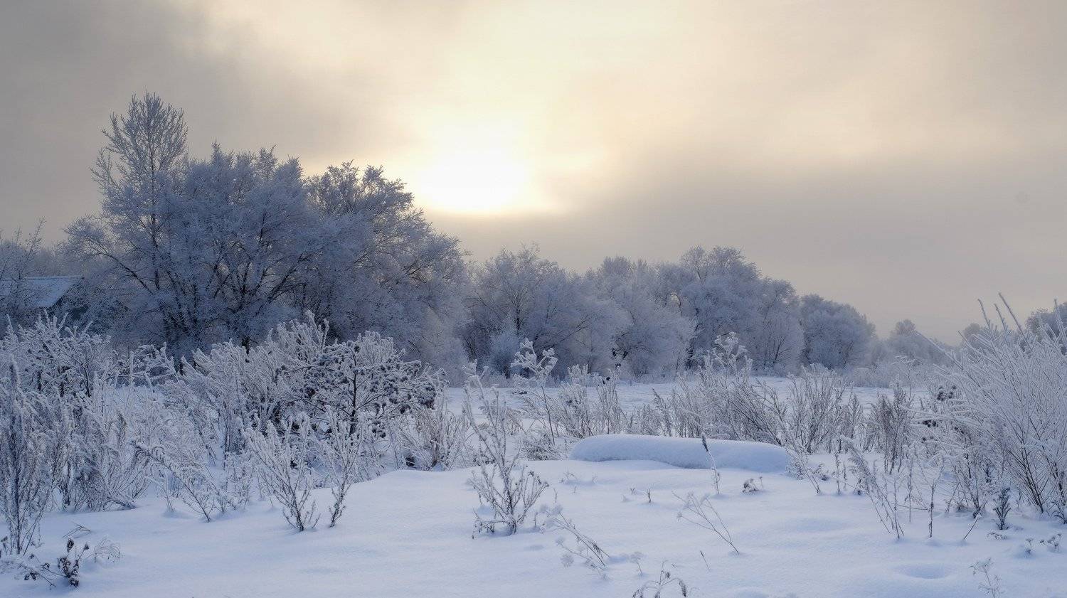 , Ольга Челдыкова