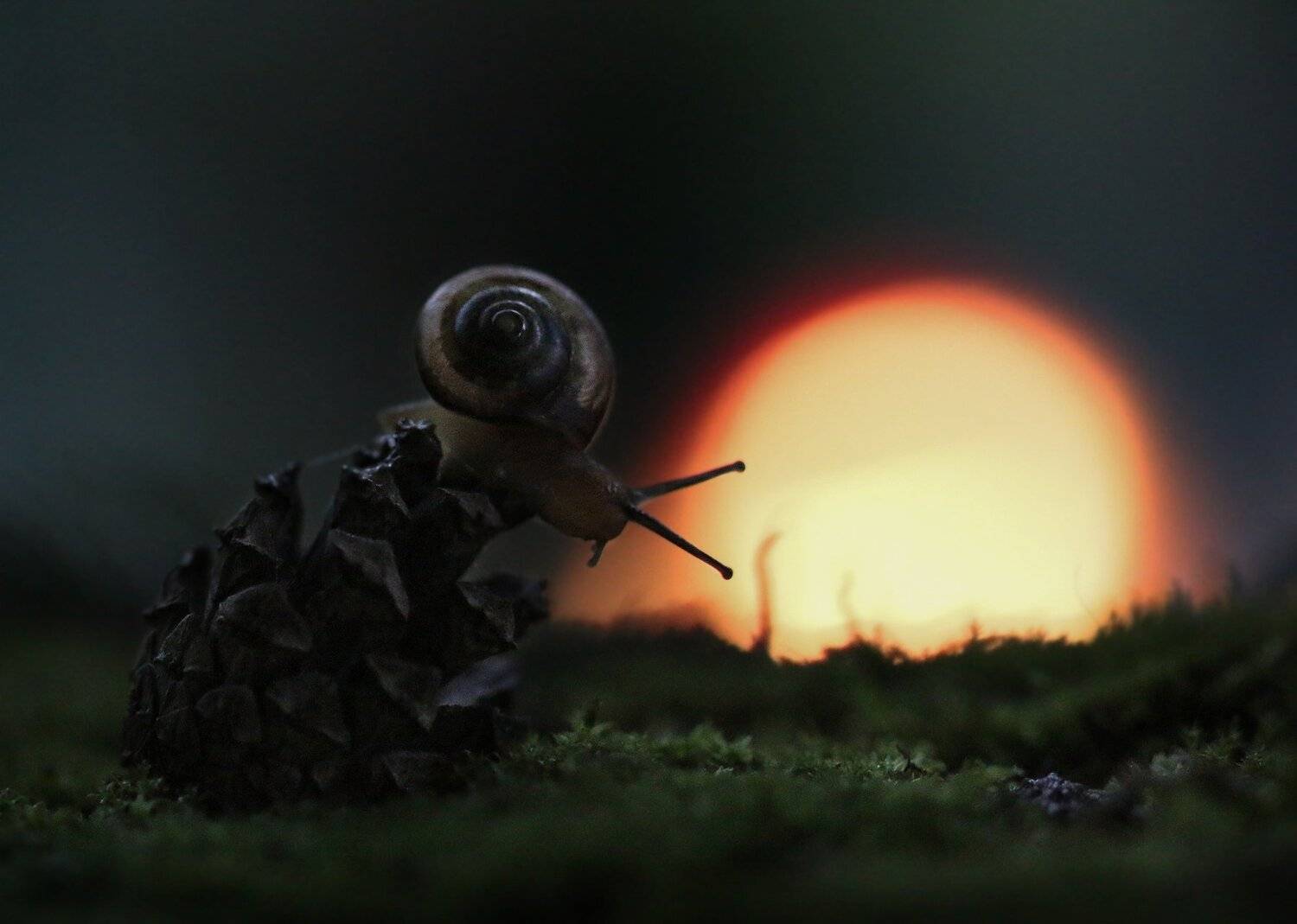 , Людмила Гудина