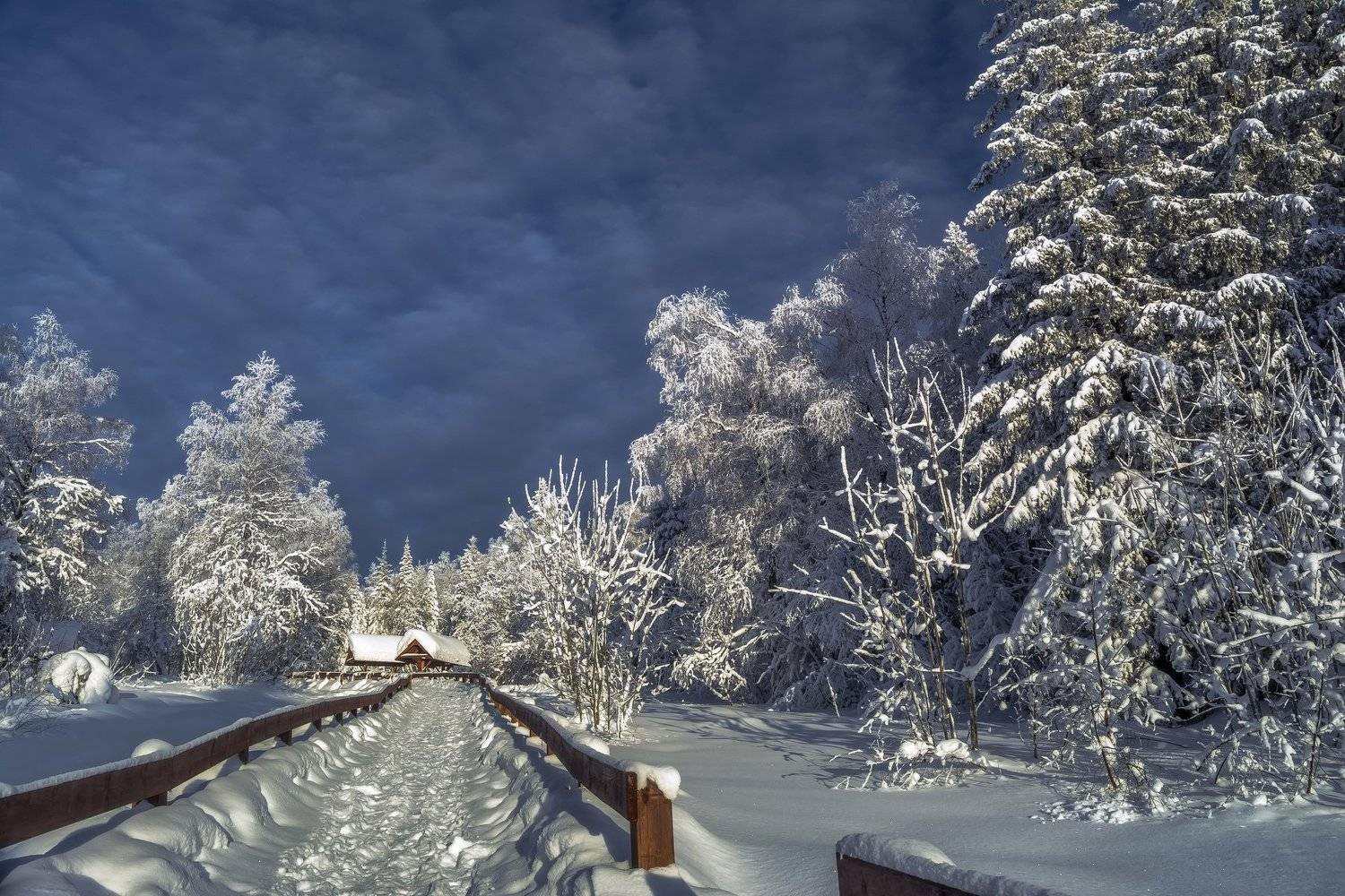 , Андрей Шарапов