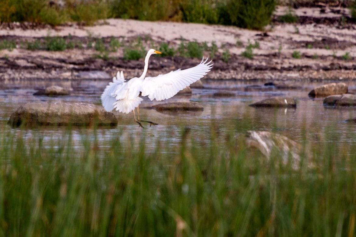 , Александр Абросимов