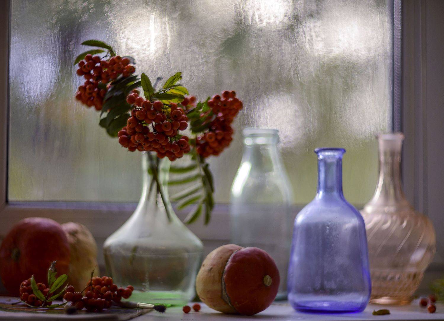 , Елена Вапняр