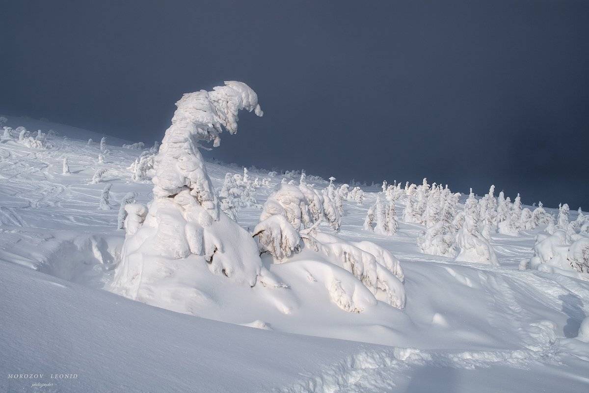 карпаты., украина., зима., пейзаж., снег., карпатский., гора., красивый., небо., природа., дерево., холод., мороз., путешествия., белый., сезон., ель., лес., фон., снежный., горы., зимний., утро., отдых., солнце., лед., изморозь., иней., сцена., синий., с, Леонид Морозов