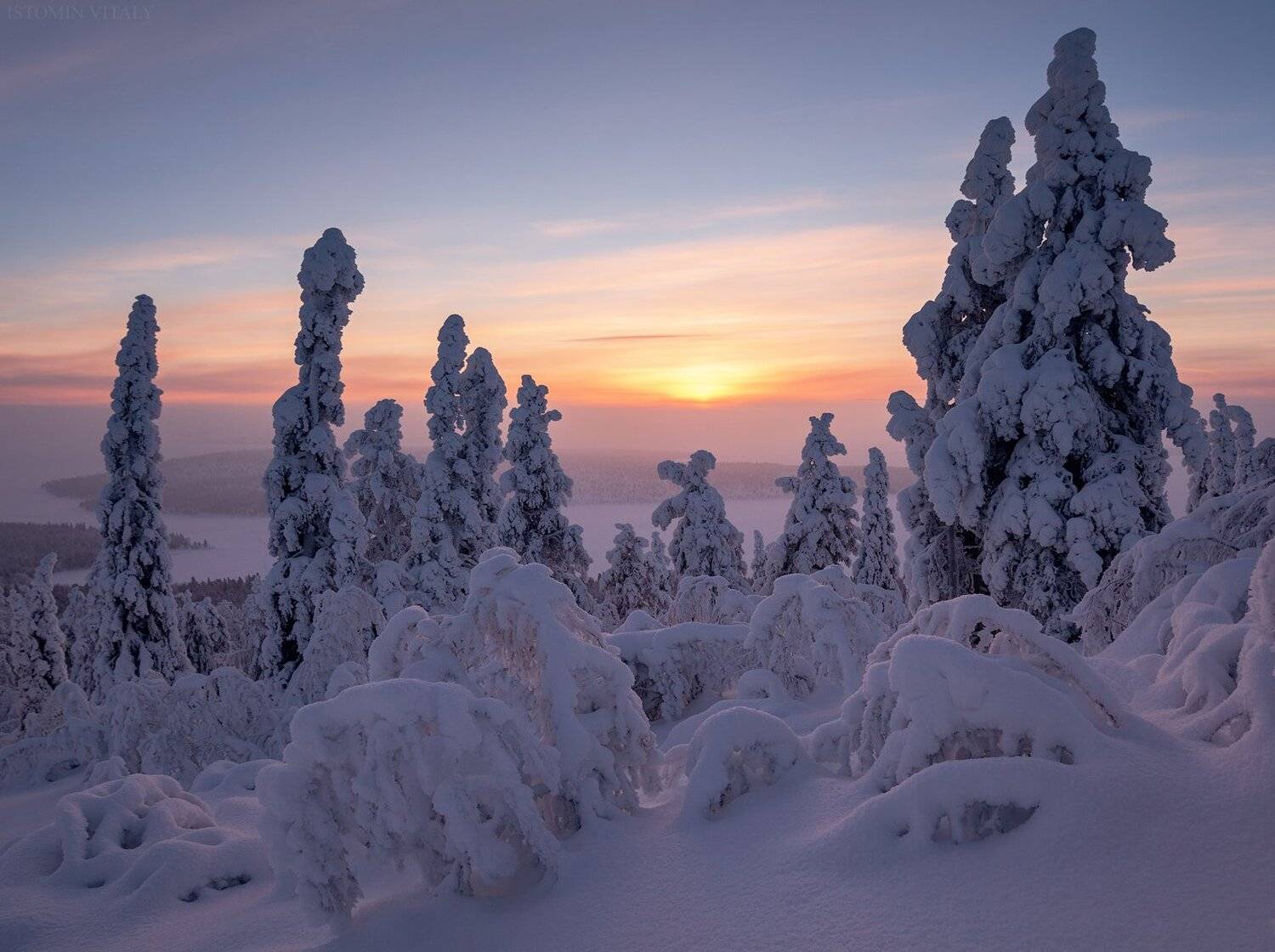 пейзаж,кольский,север,россия,лес,зима,цвет,солнце, Виталий Истомин