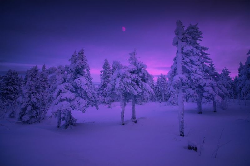 На опушках Таганая фото превью