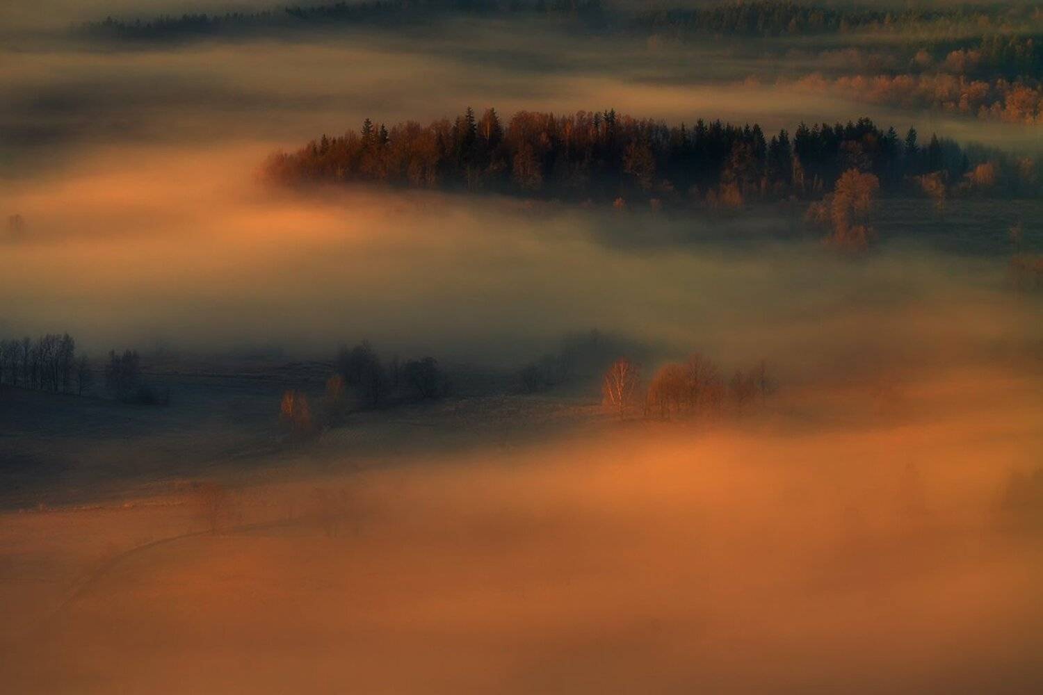 landscape,canon,mist,light,autumn, Iza i Darek Mitręga
