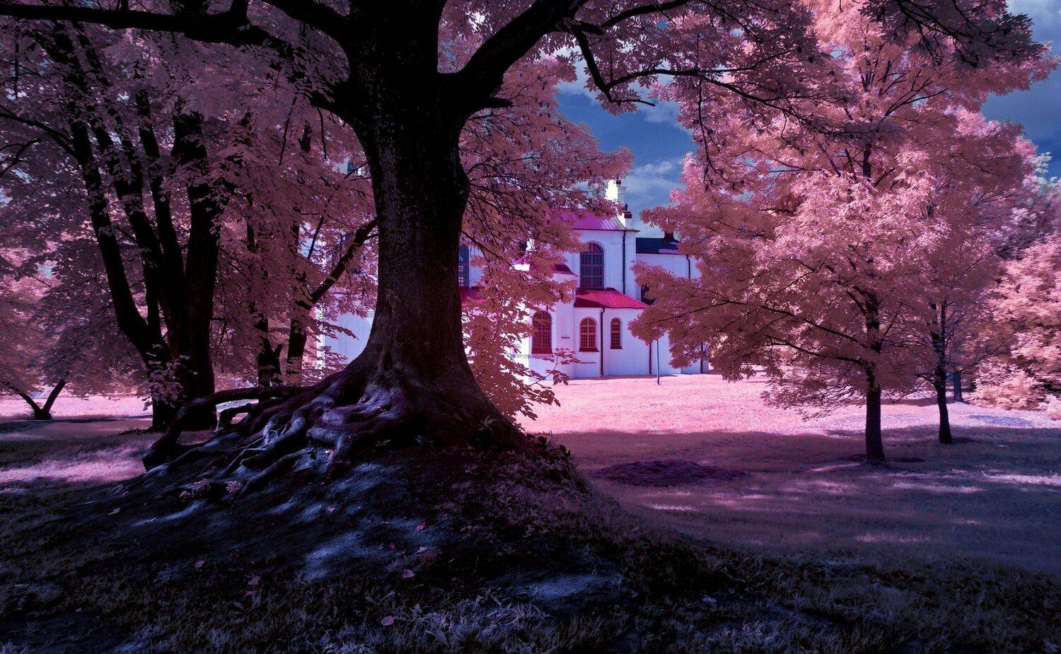 infrared,ик-фото,инфракрасное фото, инфракрасная фотография, пейзаж, лето, беларусь, Sixten ( Сергей )