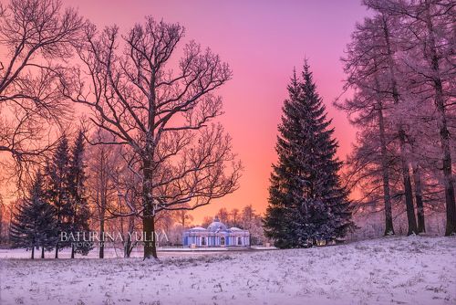 Розовый свет в парке