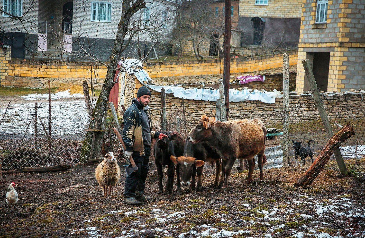 горы,осень,дворик,хозяйство,живность,домашние животные,, Marat Magov