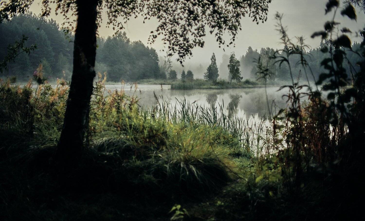 , Александр Фанковин