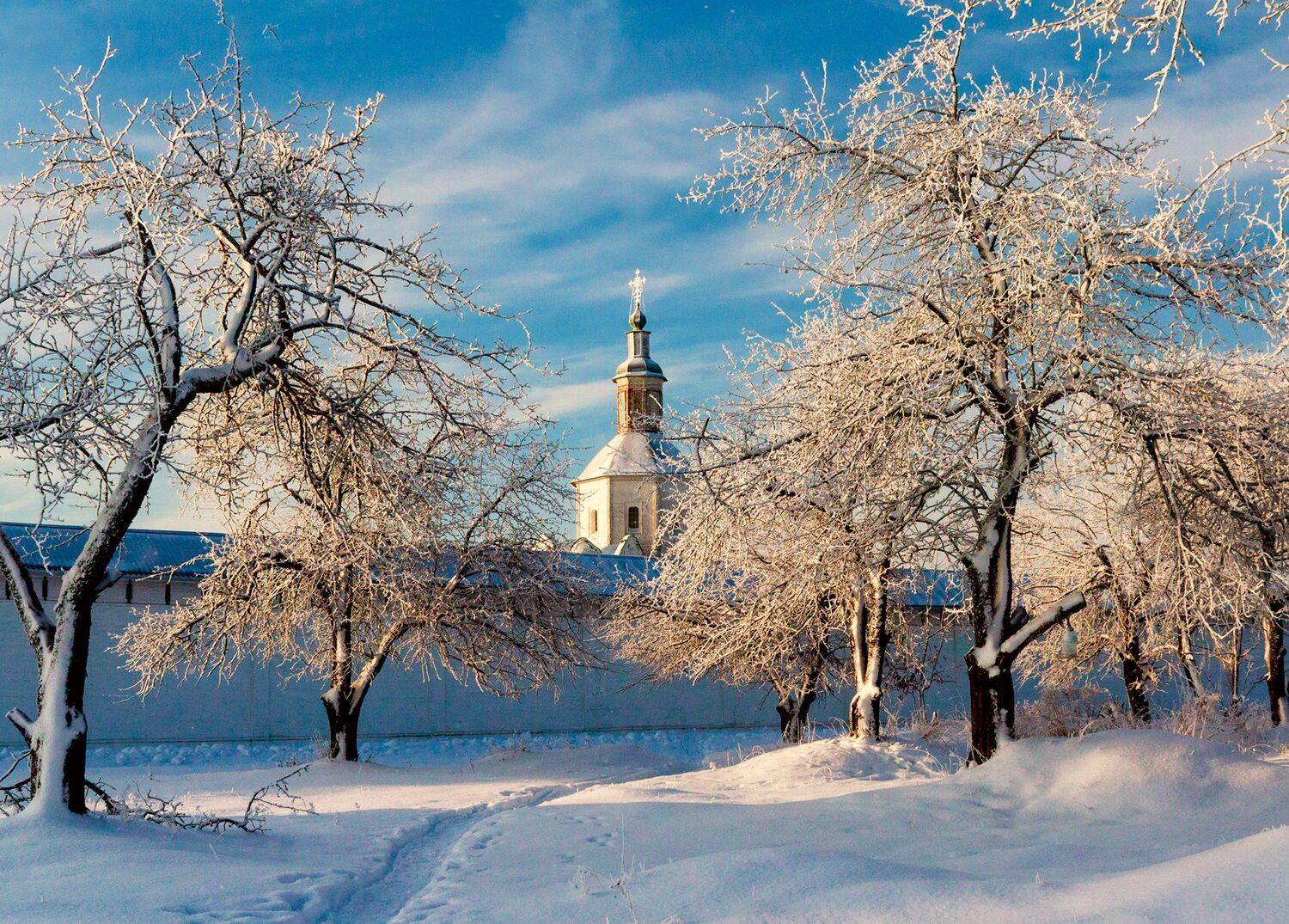 , Александр Березуцкий