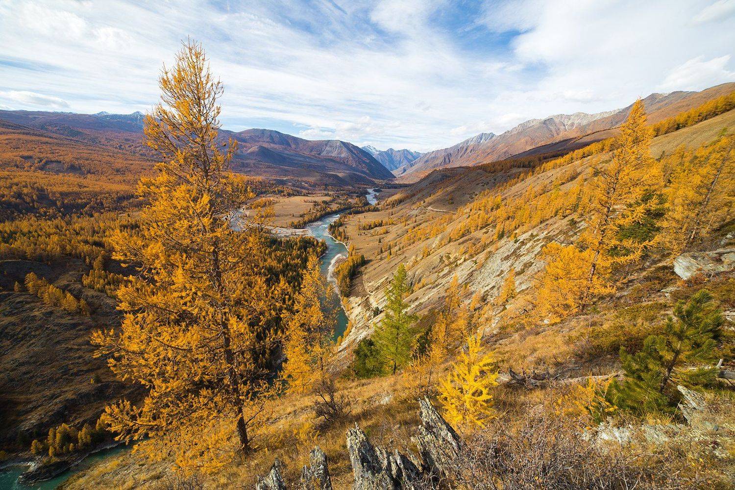 алтай, россия, Валерий Степанюк