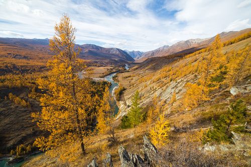 Река Аргут. Алтай