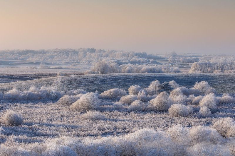 Morning фото превью