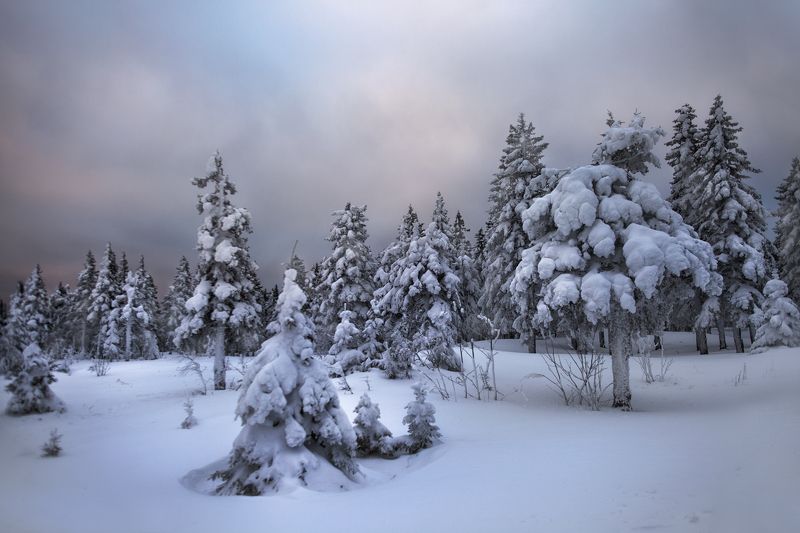 *** фото превью