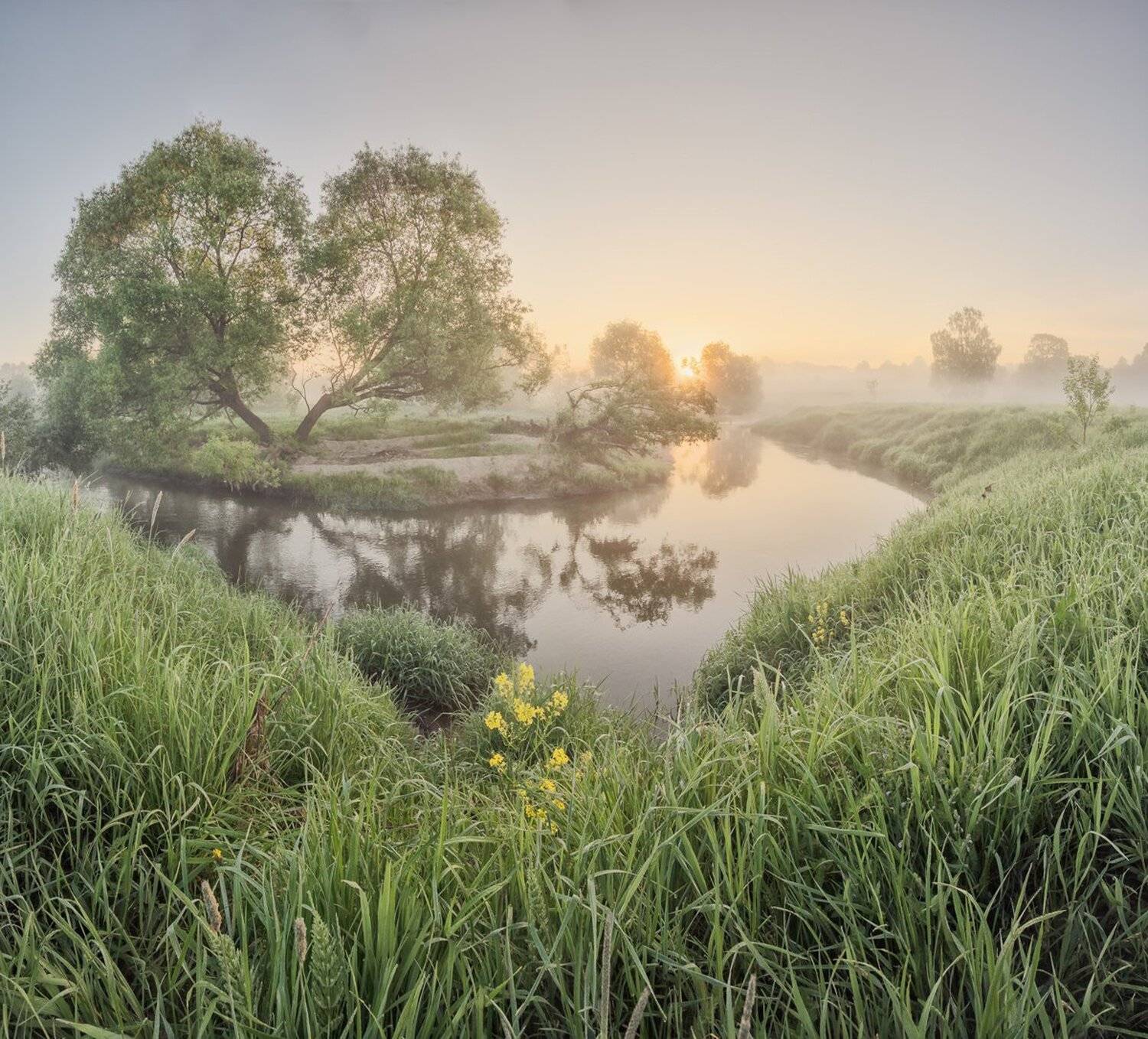 , Николай Андреев