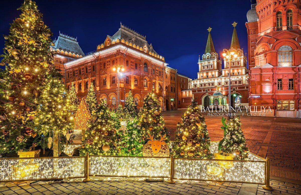 москва, новый год, елка, Юлия Батурина
