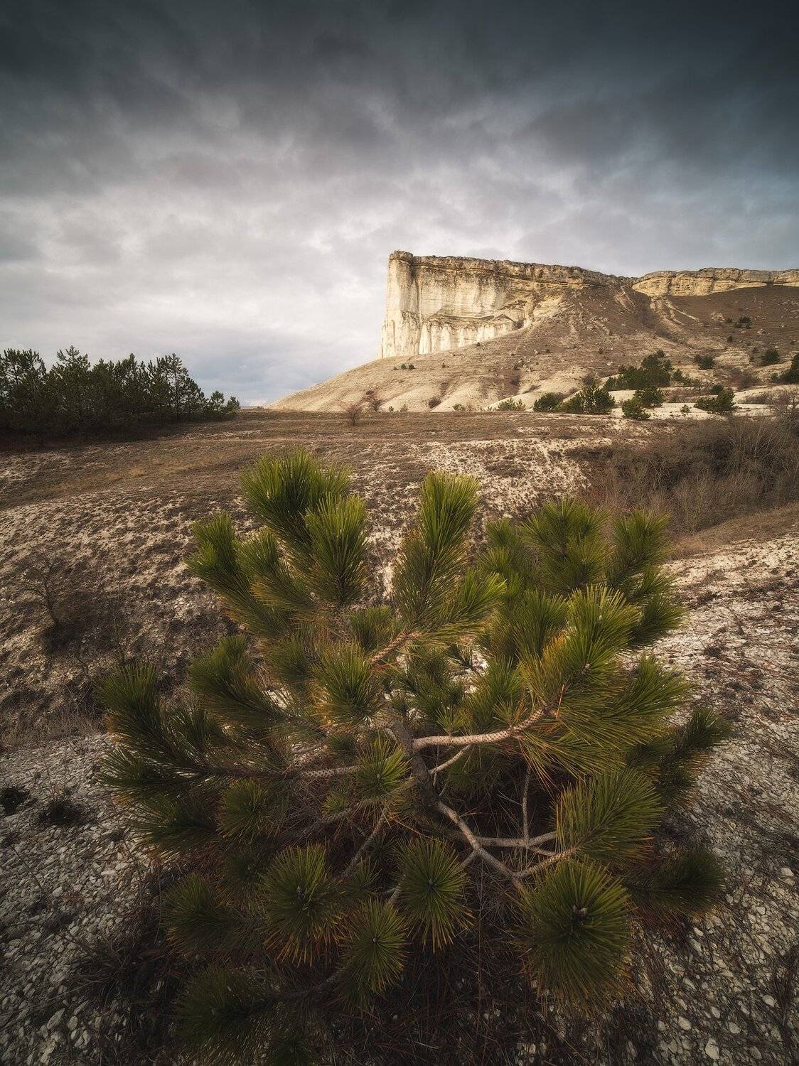 россия, крым, полуостров, пейзаж, природа, черное море, зима, снег, лес, заход солнца, закат,  белая скала, ак-кая, Оборотов Алексей
