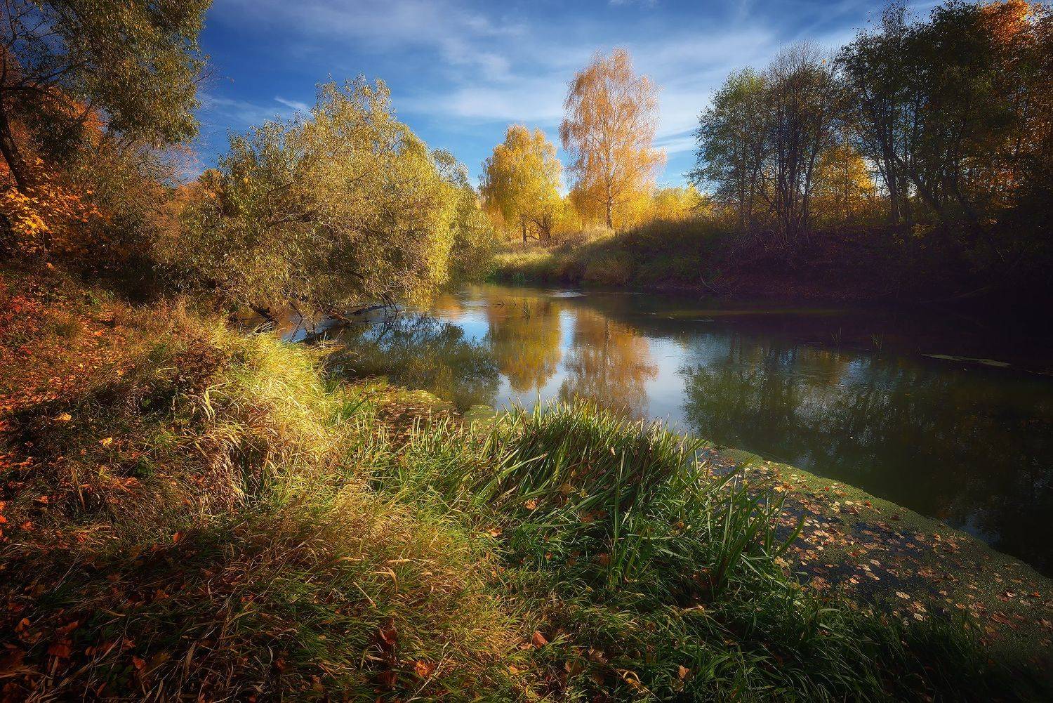 лес, природа, пейзаж, осень, река, вода, ручей, подмосковье, Алексей Никонов